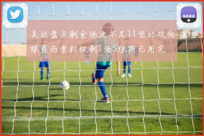 美记盘点剩余场次不足11场的双向球员西索科仅剩1场S琼斯已用完