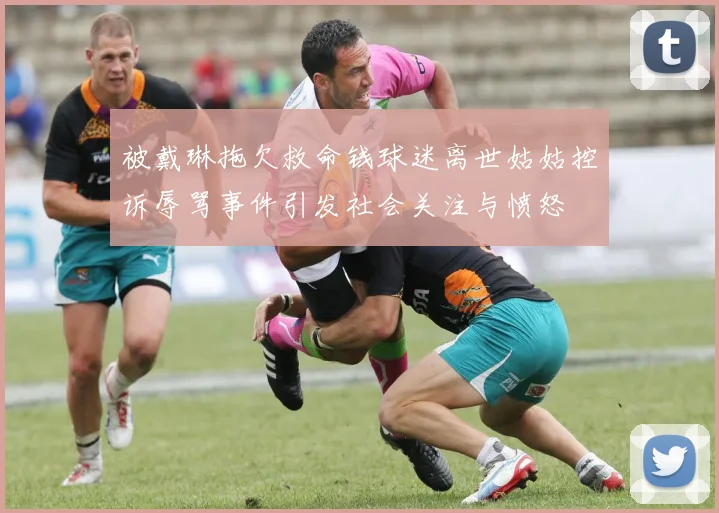 被戴琳拖欠救命钱球迷离世姑姑控诉辱骂事件引发社会关注与愤怒