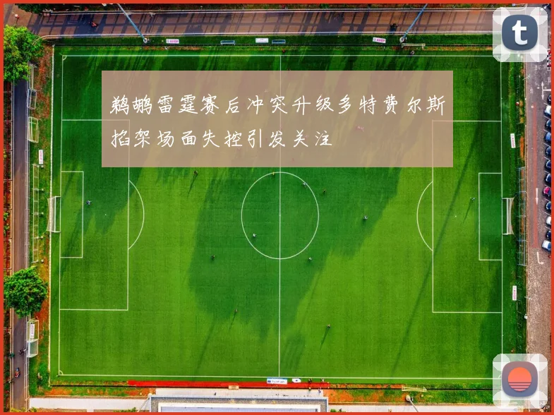 鹈鹕雷霆赛后冲突升级多特费尔斯掐架场面失控引发关注