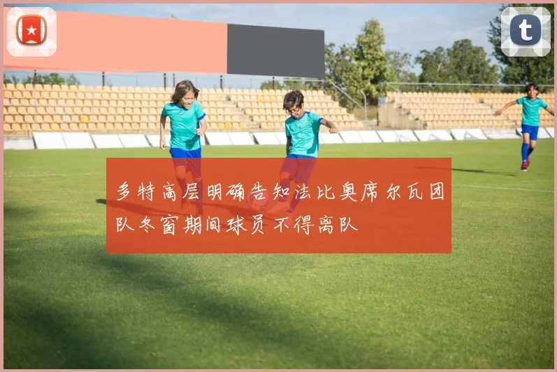 多特高层明确告知法比奥席尔瓦团队冬窗期间球员不得离队