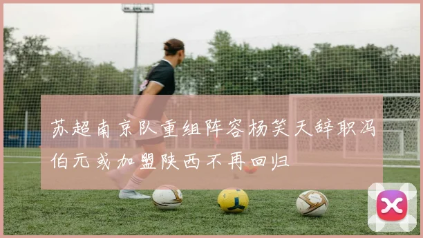 苏超南京队重组阵容杨笑天辞职冯伯元或加盟陕西不再回归